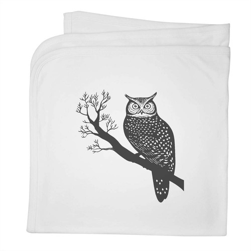 Owl sitting branch - sitting, baby