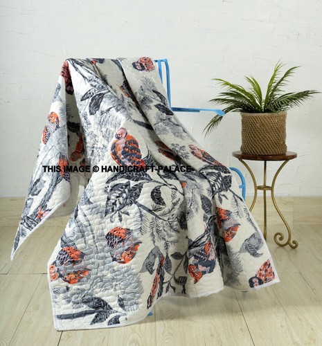 Indian quilted owl bird - indian,