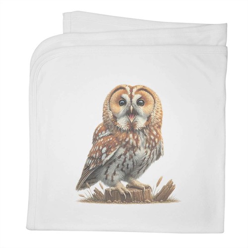 Tawny owl calling baby - owl, calling'